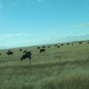 thumb_thumb_img_0963_1024_1024