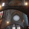 thumb_thumb_img_1043_1024_1024