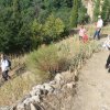 thumb_thumb_img_1173_1024_1024