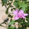 thumb_thumb_img_1175_1024_1024