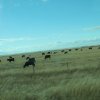 thumb_thumb_thumb_img_0963_1024_1024_1024